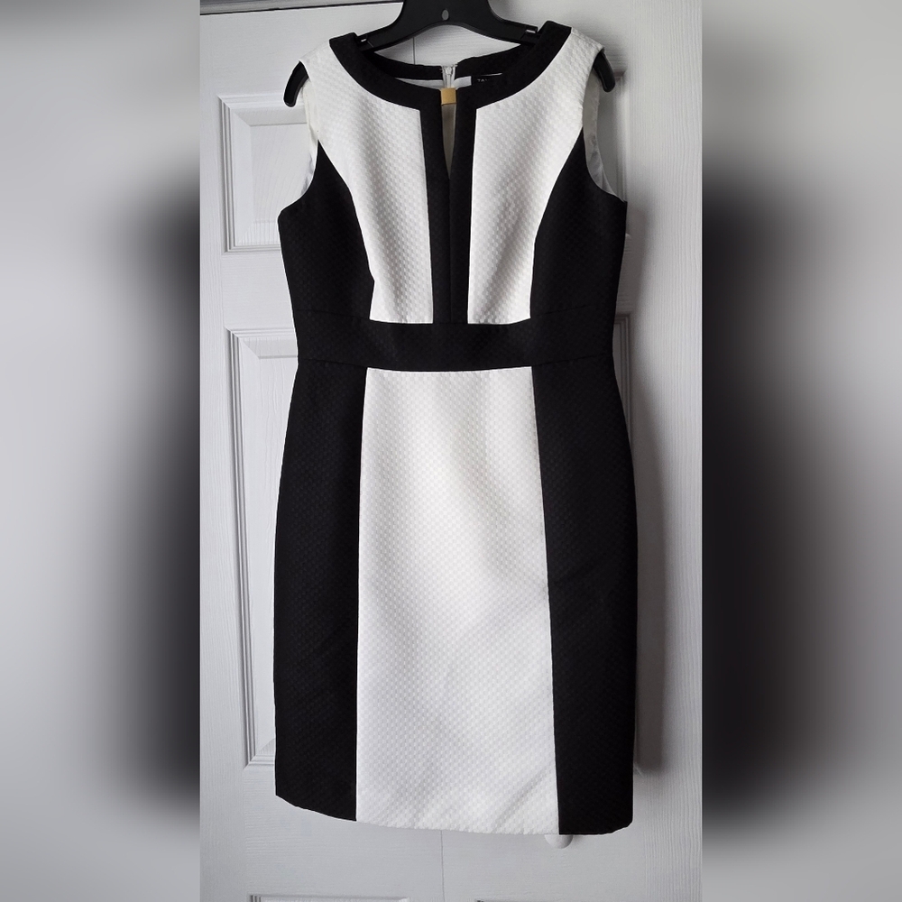 Tahari-Levine Studio Black and White Sleeveless Colorblock Mini Dress Size 10 - Picture 2 of 13